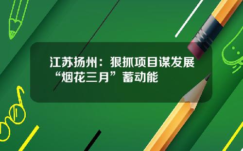 江苏扬州：狠抓项目谋发展“烟花三月”蓄动能