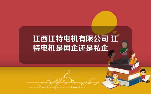江西江特电机有限公司 江特电机是国企还是私企