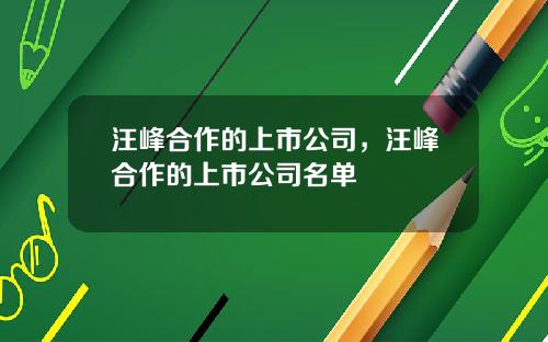 汪峰合作的上市公司，汪峰合作的上市公司名单