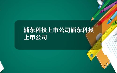 浦东科投上市公司浦东科投上市公司