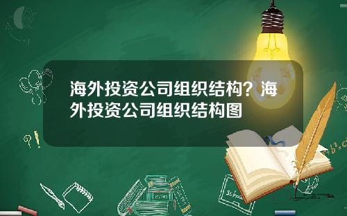 海外投资公司组织结构？海外投资公司组织结构图