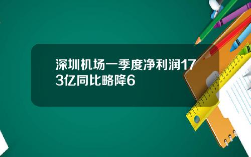 深圳机场一季度净利润173亿同比略降6
