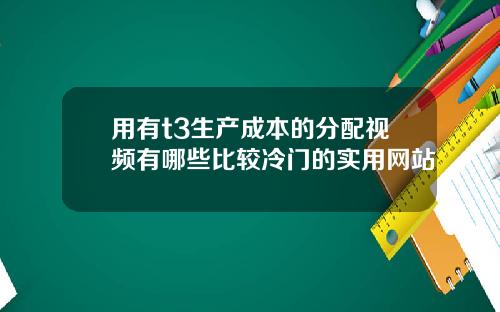 用有t3生产成本的分配视频有哪些比较冷门的实用网站