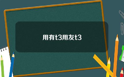 用有t3用友t3
