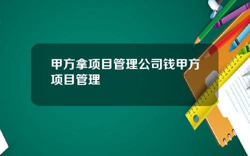 甲方拿项目管理公司钱甲方项目管理