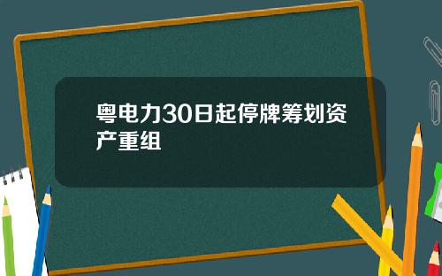 粤电力30日起停牌筹划资产重组