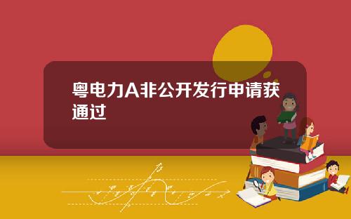 粤电力A非公开发行申请获通过