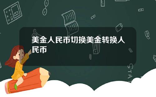 美金人民币切换美金转换人民币