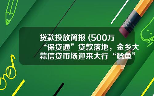 贷款投放简报 (500万“保贷通”贷款落地，金乡大蒜信贷市场迎来大行“鲶鱼”)