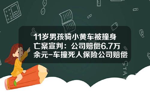 11岁男孩骑小黄车被撞身亡案宣判：公司赔偿6.7万余元-车撞死人保险公司赔偿标准【新闻】.