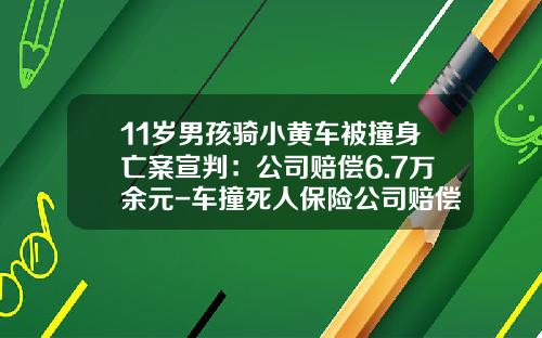 11岁男孩骑小黄车被撞身亡案宣判：公司赔偿6.7万余元-车撞死人保险公司赔偿标准【新闻】.