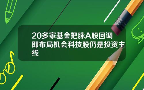 20多家基金把脉A股回调即布局机会科技股仍是投资主线