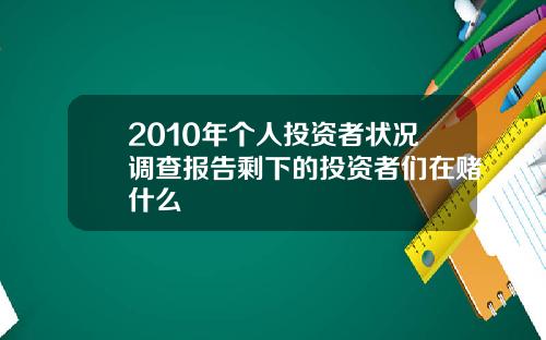 2010年个人投资者状况调查报告剩下的投资者们在赌什么