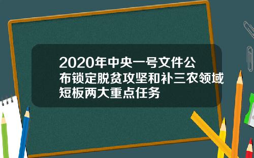 2020年中央一号文件公布锁定脱贫攻坚和补三农领域短板两大重点任务