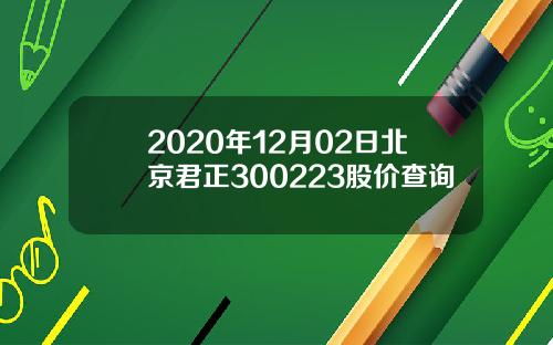 2020年12月02日北京君正300223股价查询