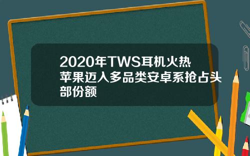 2020年TWS耳机火热苹果迈入多品类安卓系抢占头部份额