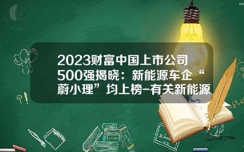 2023财富中国上市公司500强揭晓：新能源车企“蔚小理”均上榜-有关新能源的公司【新闻】.