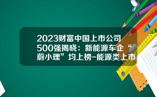2023财富中国上市公司500强揭晓：新能源车企“蔚小理”均上榜-能源类上市公司【新闻】.