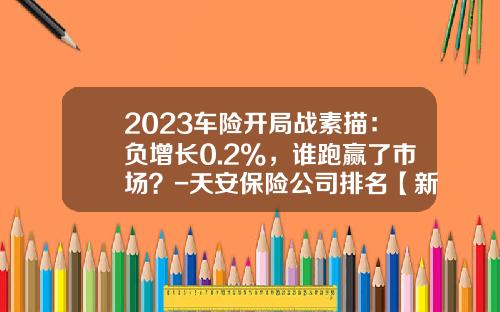 2023车险开局战素描：负增长0.2%，谁跑赢了市场？-天安保险公司排名【新闻】.