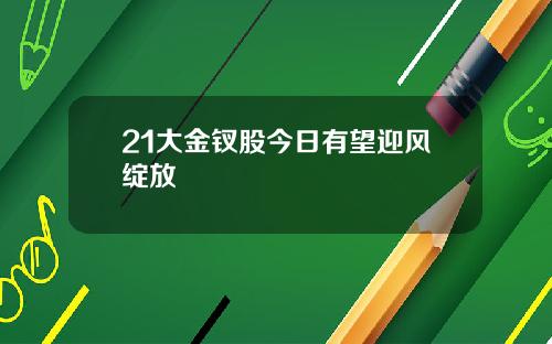 21大金钗股今日有望迎风绽放