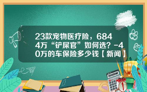 23款宠物医疗险，6844万“铲屎官”如何选？-40万的车保险多少钱【新闻】