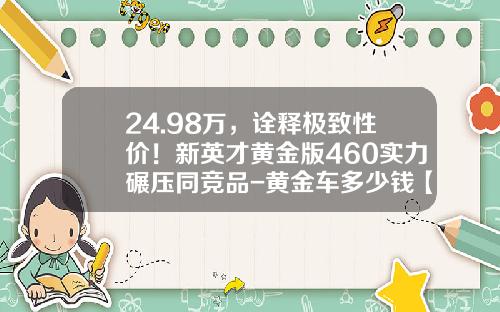 24.98万，诠释极致性价！新英才黄金版460实力碾压同竞品-黄金车多少钱【新闻】