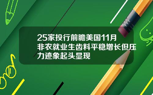 25家投行前瞻美国11月非农就业生齿料平稳增长但压力迹象起头显现
