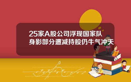 25家A股公司浮现国家队身影部分遭减持股仍牛气冲天