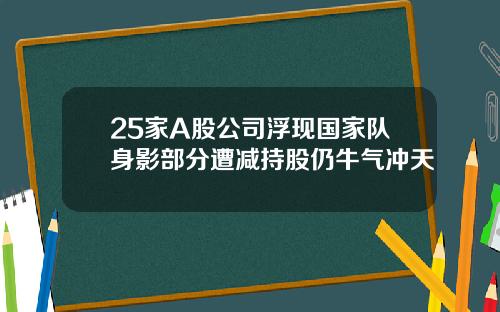 25家A股公司浮现国家队身影部分遭减持股仍牛气冲天