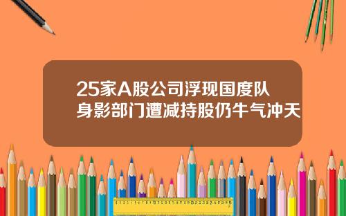 25家A股公司浮现国度队身影部门遭减持股仍牛气冲天