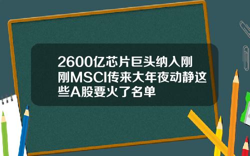 2600亿芯片巨头纳入刚刚MSCI传来大年夜动静这些A股要火了名单