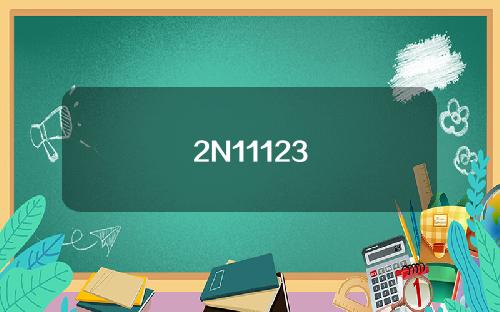 2N11123