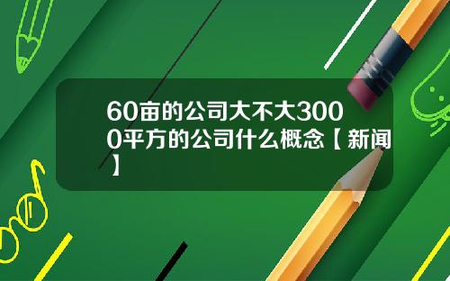 60亩的公司大不大3000平方的公司什么概念【新闻】