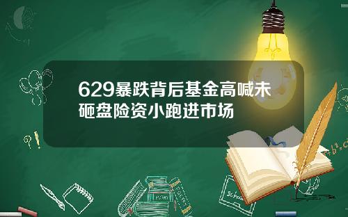 629暴跌背后基金高喊未砸盘险资小跑进市场
