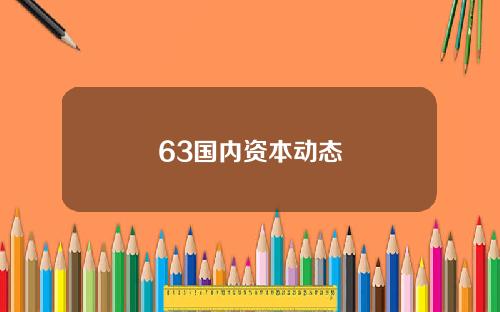 63国内资本动态