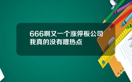 666啊又一个涨停板公司我真的没有蹭热点