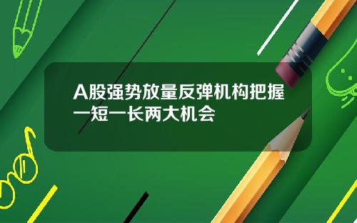 A股强势放量反弹机构把握一短一长两大机会