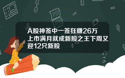 A股神签中一签狂赚26万上市满月就成新股之王下周又迎12只新股
