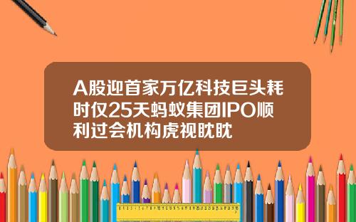 A股迎首家万亿科技巨头耗时仅25天蚂蚁集团IPO顺利过会机构虎视眈眈