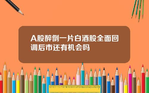 A股醉倒一片白酒股全面回调后市还有机会吗