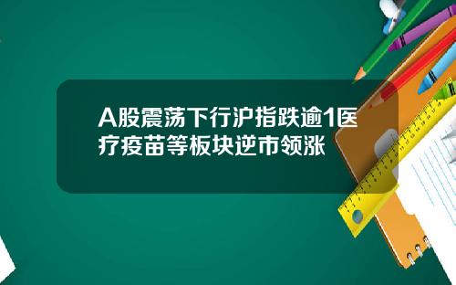 A股震荡下行沪指跌逾1医疗疫苗等板块逆市领涨