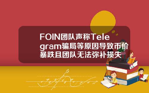 FOIN团队声称Telegram骗局等原因导致币价暴跌且团队无法弥补损失