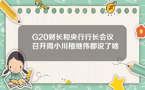 G20财长和央行行长会议召开周小川楼继伟都说了啥