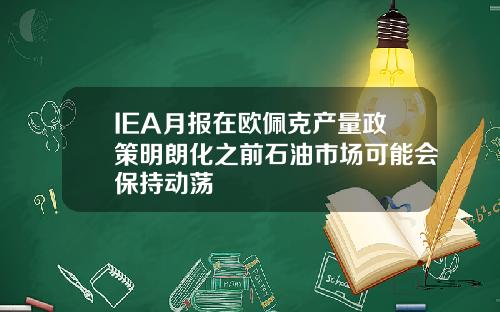 IEA月报在欧佩克产量政策明朗化之前石油市场可能会保持动荡