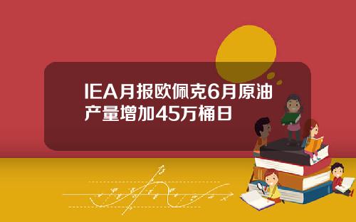 IEA月报欧佩克6月原油产量增加45万桶日