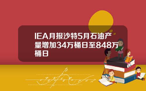 IEA月报沙特5月石油产量增加34万桶日至848万桶日