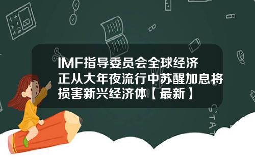 IMF指导委员会全球经济正从大年夜流行中苏醒加息将损害新兴经济体【最新】
