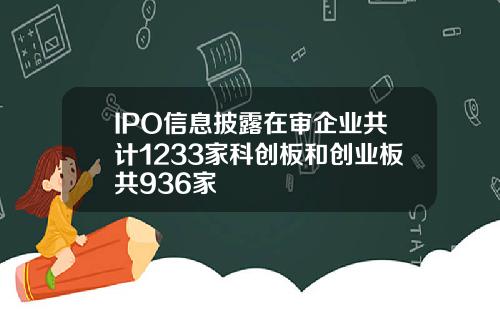 IPO信息披露在审企业共计1233家科创板和创业板共936家