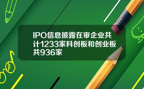 IPO信息披露在审企业共计1233家科创板和创业板共936家