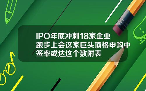 IPO年底冲刺18家企业跑步上会这家巨头顶格申购中签率或达这个数附表